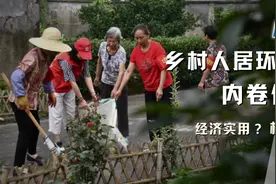 为什么农村人居环境整治会陷入“内卷”？｜县域高质量发展｜IPP专栏图片