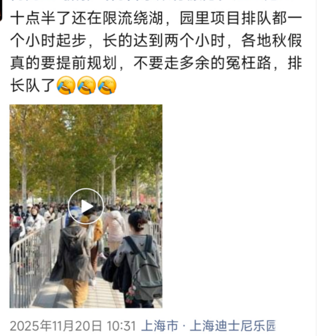 “野生”带玩管家出没迪士尼，从日赚上千卷到350元！专家看到的却是500亿元“陪伴经济”……