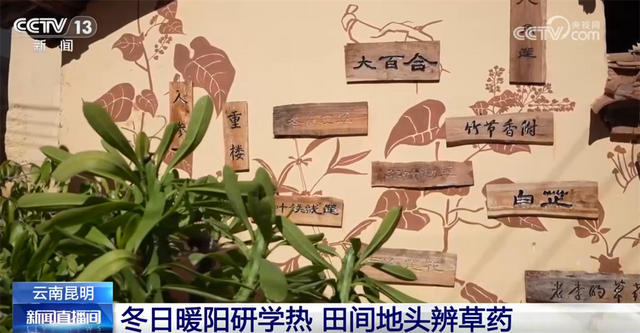 室内游升温、研学游正当时 文旅“热”让“冬日经济”多点开花、活力迸发