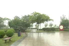 “小白虫”惹人烦？亳州已出手！图片