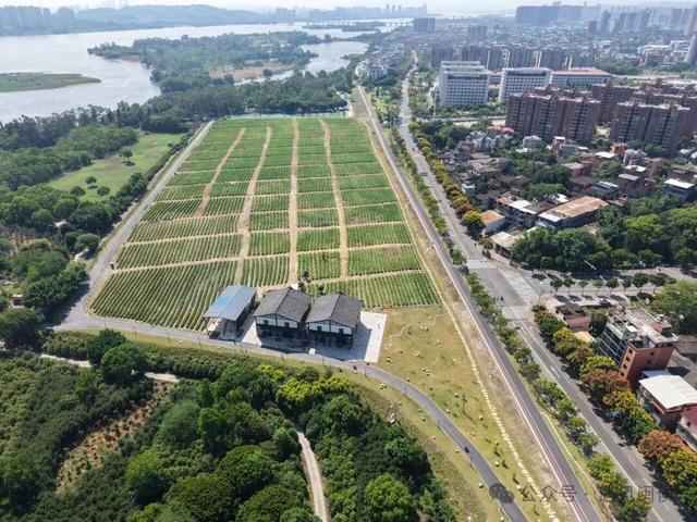 超10万人次打卡！解锁侯官文化全景展示区的文旅密码