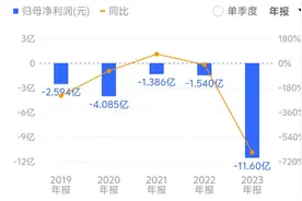 *ST中程连续两年财报被“非标”：“风光一体化”项目不风光，海外矿权面临转销图片