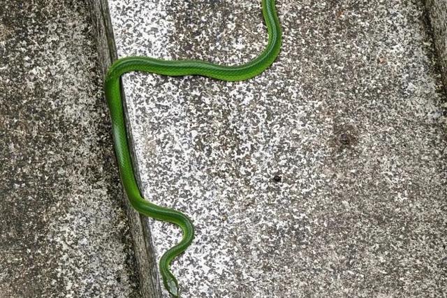 欢迎来到疯狂动物城·罗湖分城