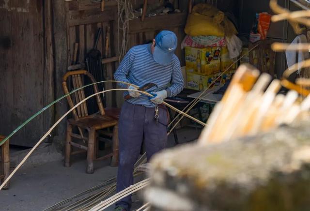 Hi走奉化② | 这条小众赏秋路线，藏有古树群“天花板”！