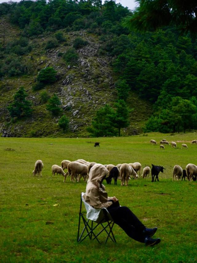 藏着自然的无尽温柔与浪漫！来盘龙大哨森林，我“氧”你啊！