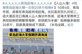 国庆假日，青岛这处海滩火了！蛤蜊一挖一麻袋，根本挖不完图片