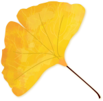 遇见丨开福上新色：捕捉开福黄调时刻