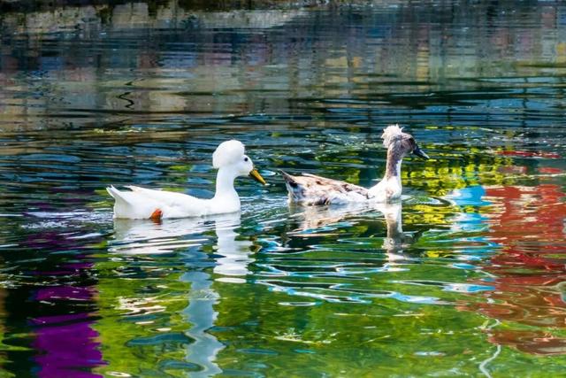 突破18亿！“真实版”就在南京