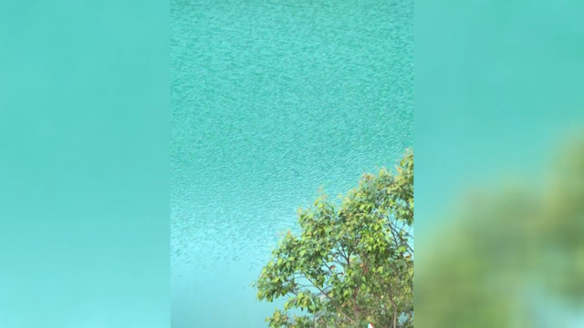 钦州一处废弃矿坑走红，当地政府公告：严禁进入