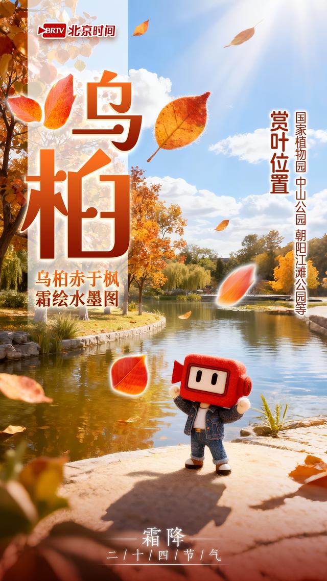 霜降踏京秋 一叶一风光｜8种彩叶绘就北京多彩又诗意的秋