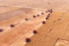 全国麦收过七成！“中原粮仓”河南8500万亩小麦收获已基本结束图片