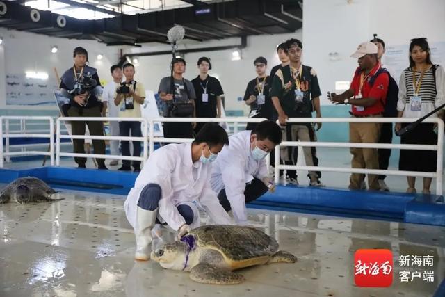 组图｜中外媒体团走进陵水 沉浸式感受海南海洋保育与海岛魅力