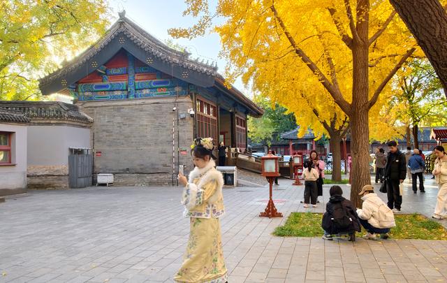 半城古典，半城浪漫！一叶知秋，一框载古今