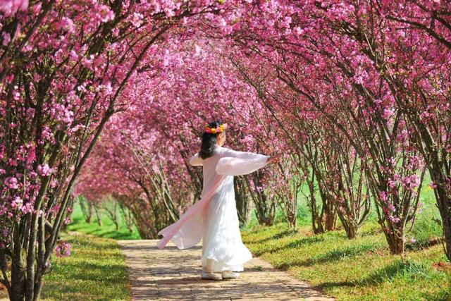 3月7日至8日，女性游客免门票游乃古石林风景区