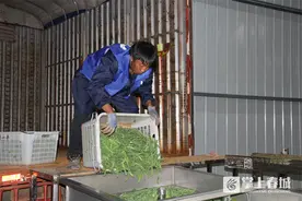 科技赋能，晋宁龙王塘村移民增收致富路越走越宽图片