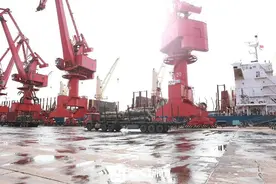 2025木材与木制品大会考察团岚山行：共绘产业新蓝图图片