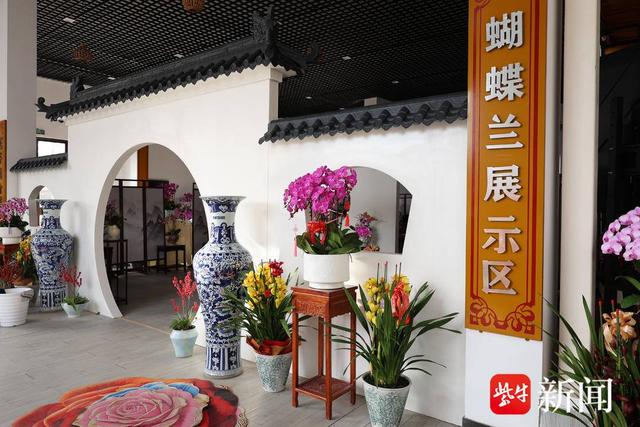 兰香伴年味！第七届花卉文化嘉年华1月16日启幕