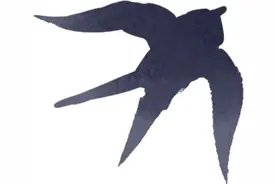 电鱼无处遁形！冰城公安构建生态保护新格局图片