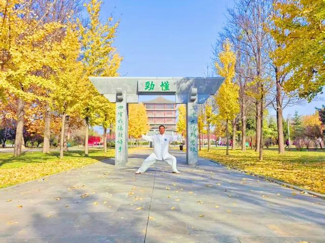 温县，一韵冬色，尽藏美好！