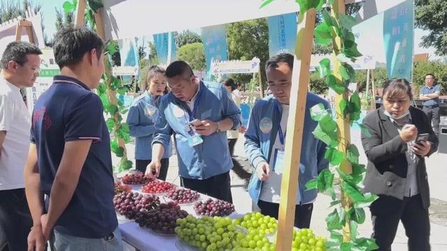 聚焦第九届河北省旅游产业发展大会张家口分会场|张家口怀来世界葡萄酒之窗葡萄酒嘉年华开启