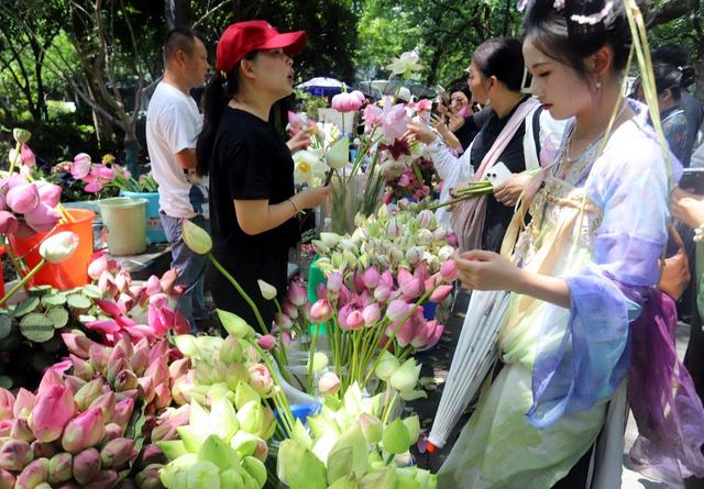 江苏苏州：荷花市集热闹非凡