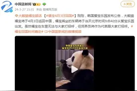 韩国爱宝乐园：大熊猫福宝将于4月3日返回中国图片