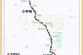 开通一周年！超全攻略来啦！图片