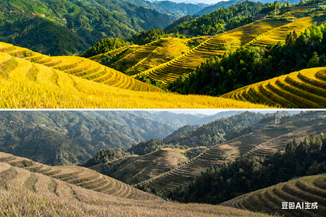 旅行如何避雷“避雷”帖？