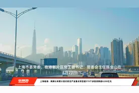 上海临港：揭牌以来累计签约前沿产业重点项目超570个涉投资额超6200亿元视频封面