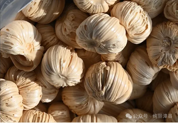 一卷山水，一味乡愁｜辞家千里的漳县儿女，你的行囊里装着整个故乡