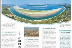 洞庭月历·11月丨芦苇：在湖的衣襟上，别一朵芦花图片