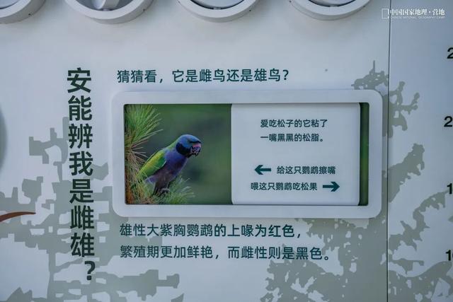 波密零碳自然驿站矩阵落成