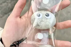 突然火了！“已经不想和没有石头的人说话了”图片