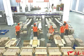 养鸡机械化，产蛋有学问图片