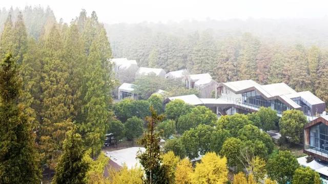 立冬第一游去哪里？淮安5处目的地，这个时节美翻了！