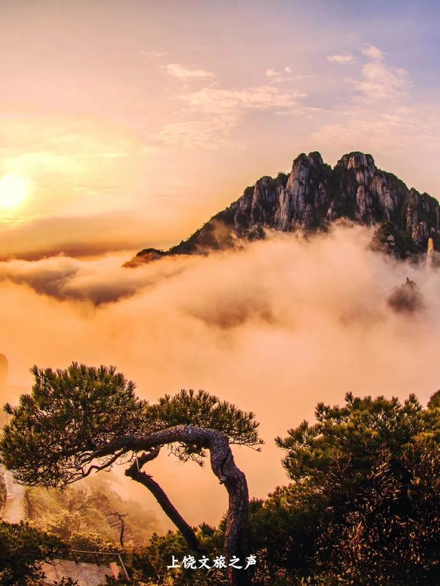 上饶冬日山野真的绝美，赶紧进山“Forest walk”一下~