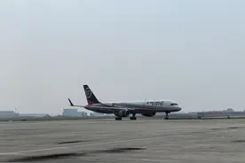 欢迎回家！旅马大熊猫“福娃”“凤仪”平安落地成都图片