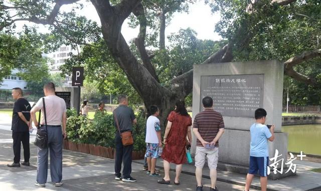 虎门开启“人从众”假期模式，这些地方受欢迎