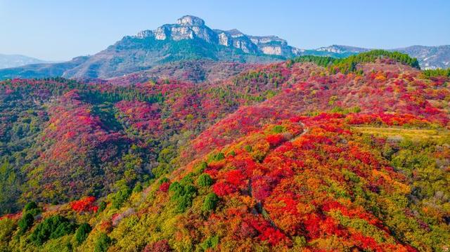 倒计时6天！“一城山色·登山打卡”以红叶为笺，邀您相约垛庄百峪大顶！