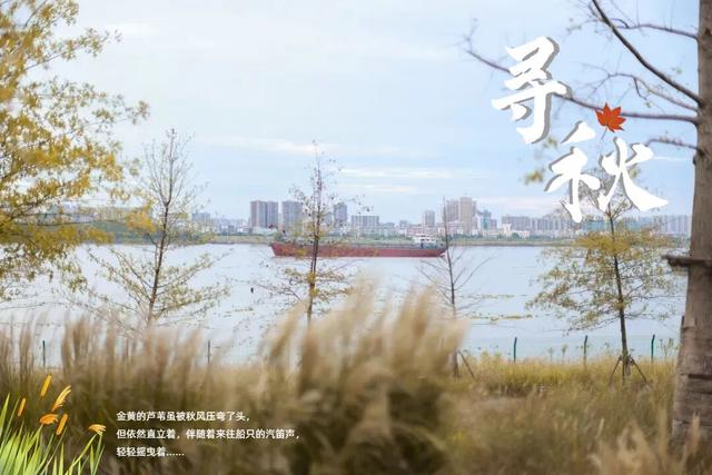 霜降 | 秋将尽，冬未至，正是鄂州好风光