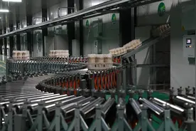 临沭县：小菌菇撑起增收致富大产业图片