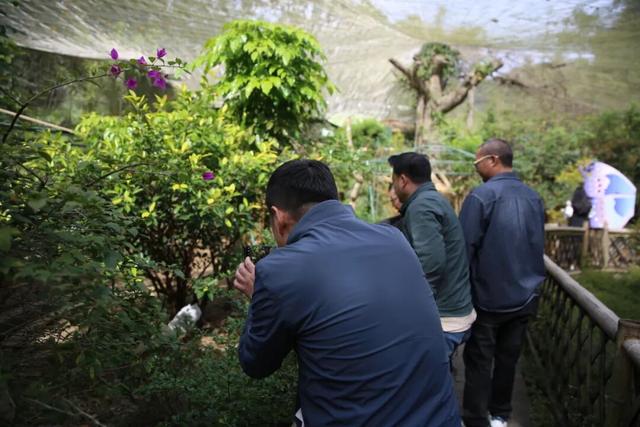 引客入肇！东莞旅行社组团走进星湖↘