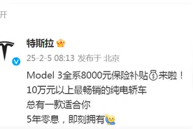 特斯拉Model 3新春大礼包来袭： 限时保险补贴8000元+5年0息政策！欧洲销量却全面下滑图片