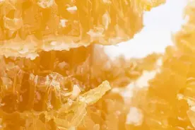 这些关于蜂蜜的谣言，千万别信！健康吃蜂蜜，牢记这4点，否则可能功效全无！图片
