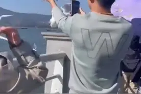 男子滇池边抓海鸥拍照惹众怒 官方回应图片