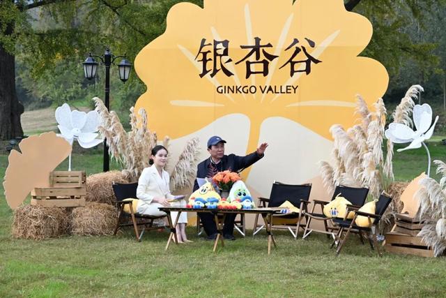 随州银杏谷“金秋畅游季”发布！解锁N种玩法