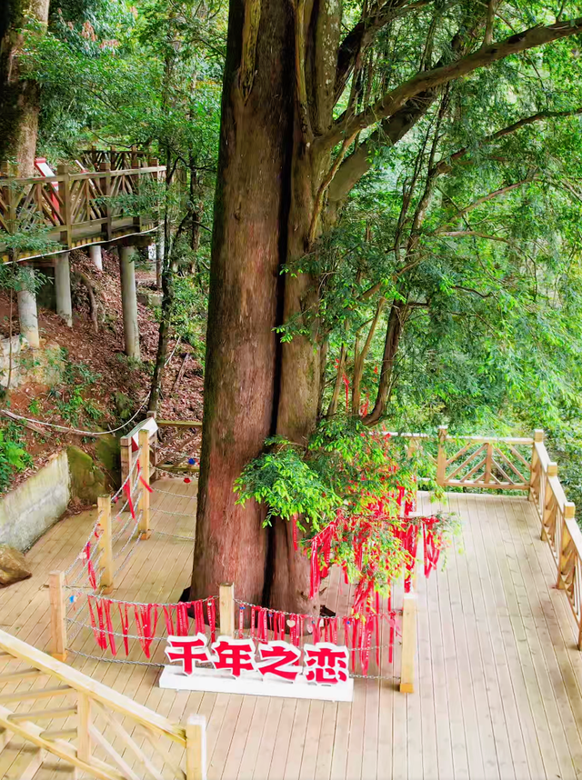 甜蜜加倍！龙岩这些宝藏约会地与TA一起浪漫相约~