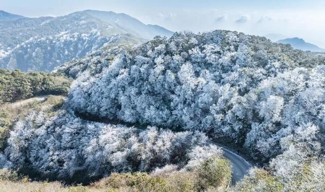 多地下雪！广西限定版“冰雪世界”已上线