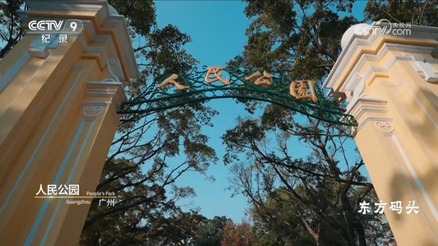 央视热播！就在身边，不少越秀街坊天天见