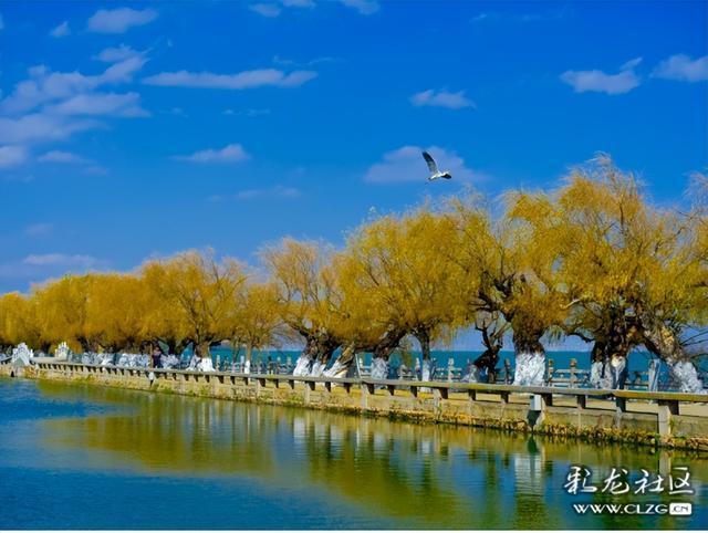 昆明小众人少看滇池喂海鸥的宝藏打卡地